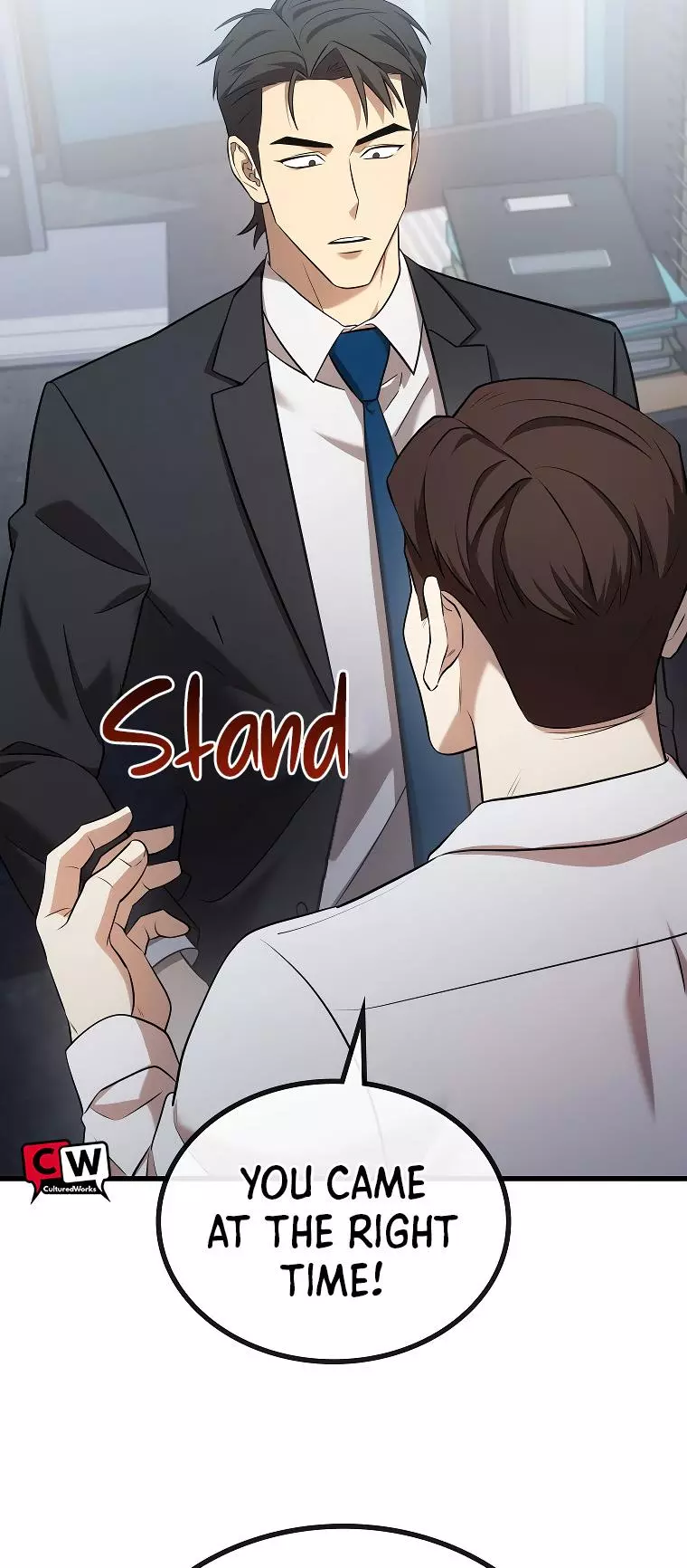 Manga page 13